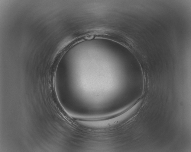 X0000050721164200506151906