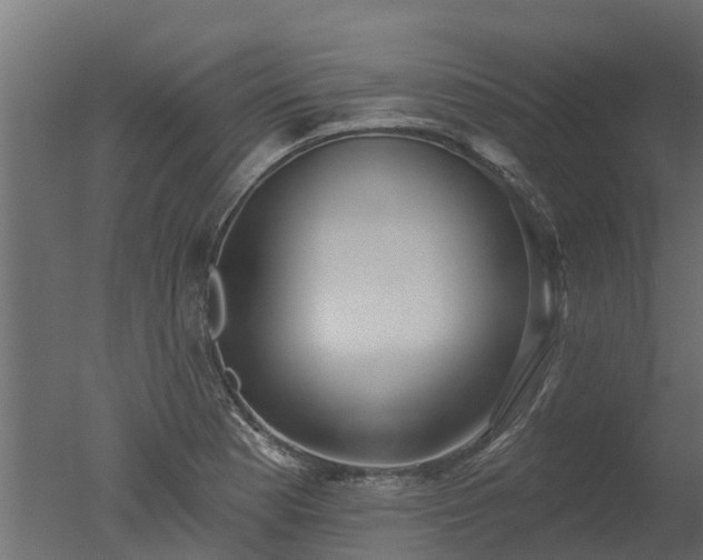 X0000050721177200506151906