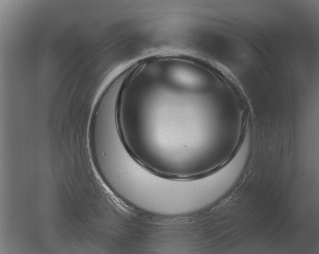 X0000050721183200506151906