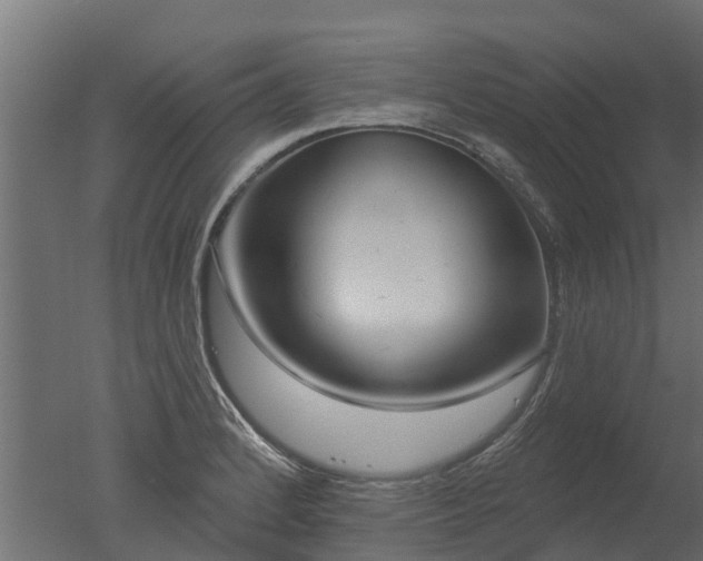 X0000050721184200506151906
