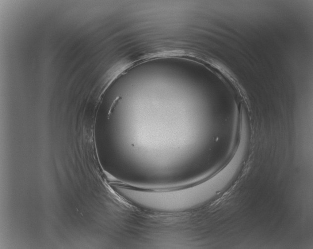X0000050721193200506151905