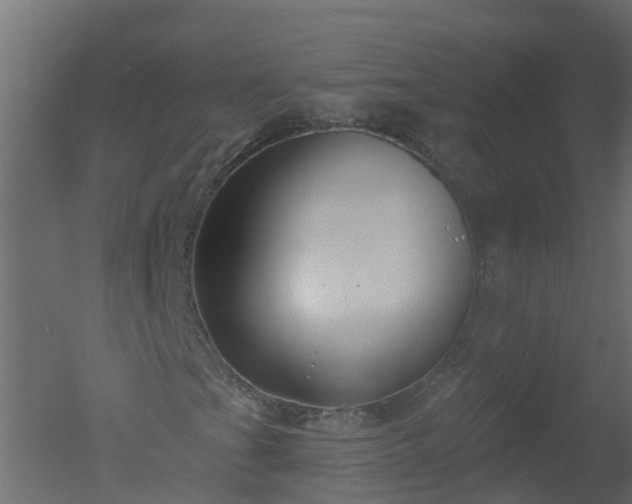 X0000050721201200506151905