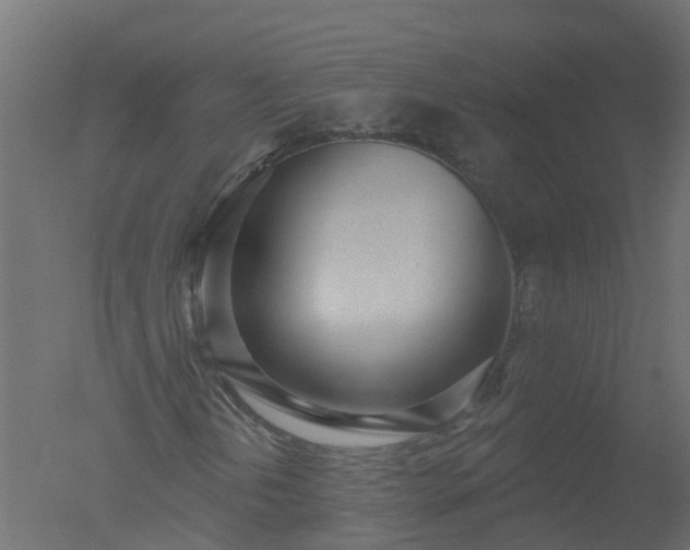 X0000050721202200506151905