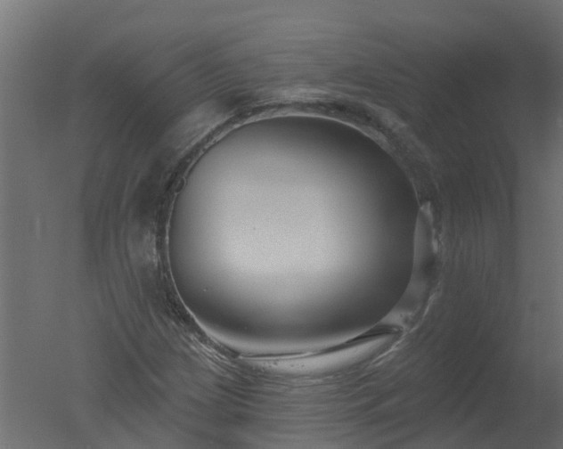 X0000050721209200506151905