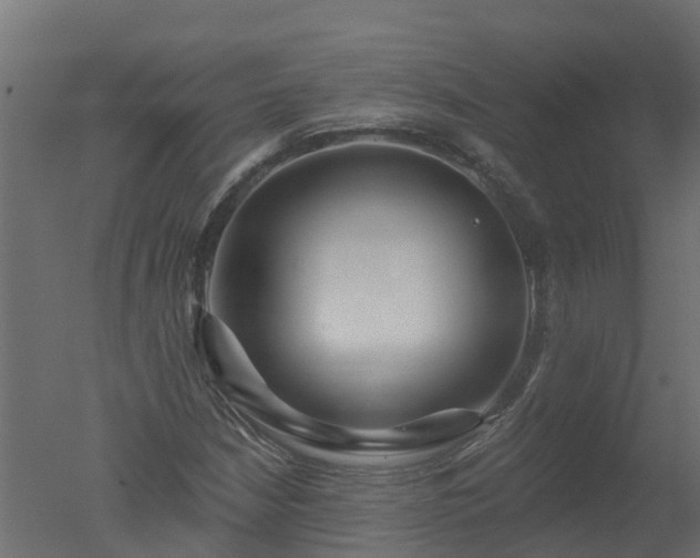 X0000050721210200506151905