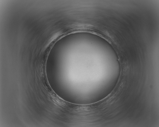 X0000050721211200506151905