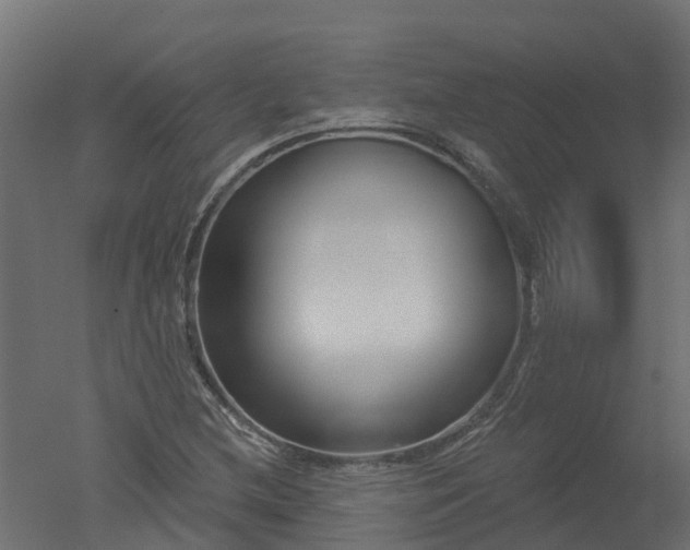 X0000050721212200506151905