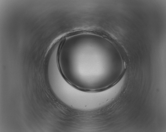 X0000050721214200506151905