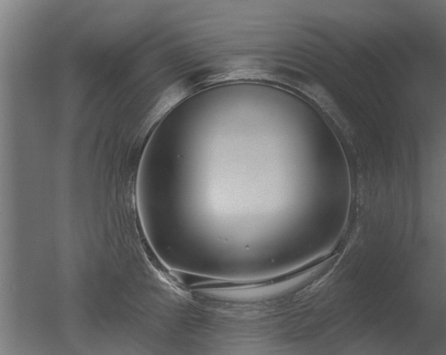 X0000050721241200506151905