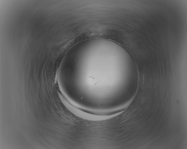 X0000050721250200506151905