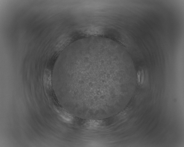 X0000050721251200506151905