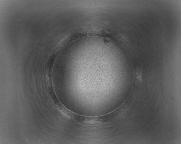 X0000050721252200506151904