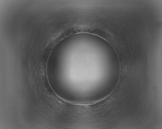 X0000050721253200506151904