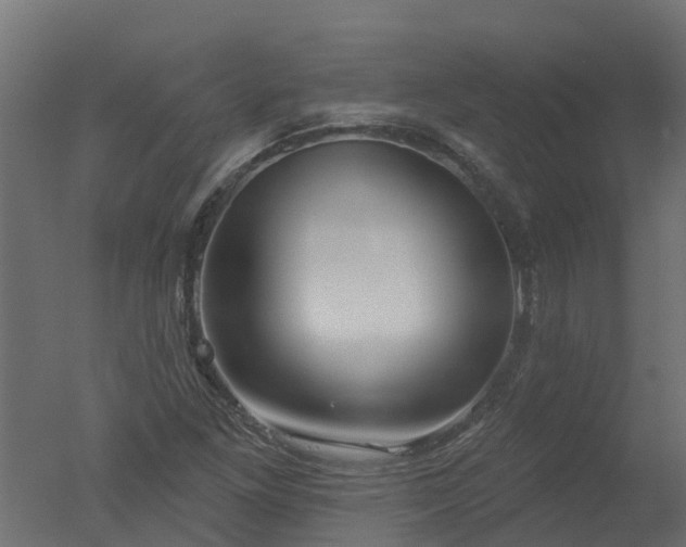 X0000050721261200506151904