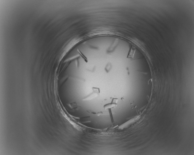X0000050721290200506151904