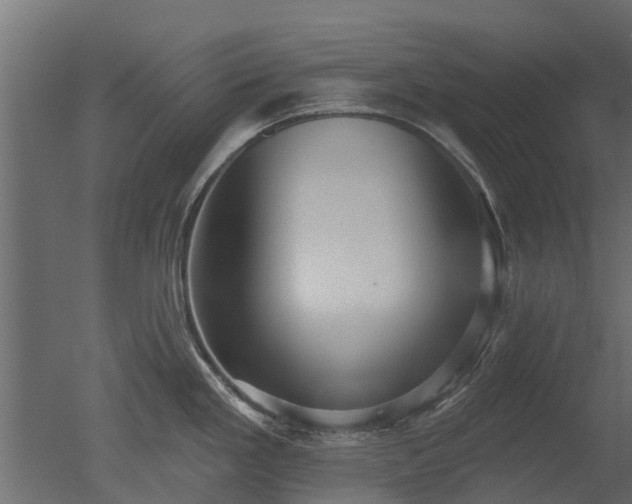 X0000050721293200506151904