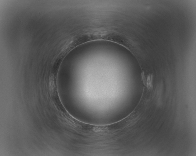 X0000050721299200506151903