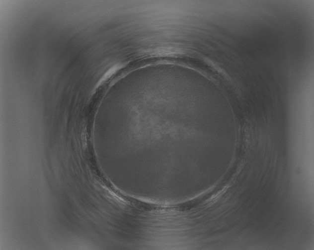 X0000050721306200506151903