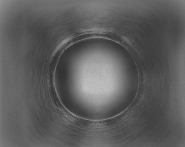 X0000050721307200506151903