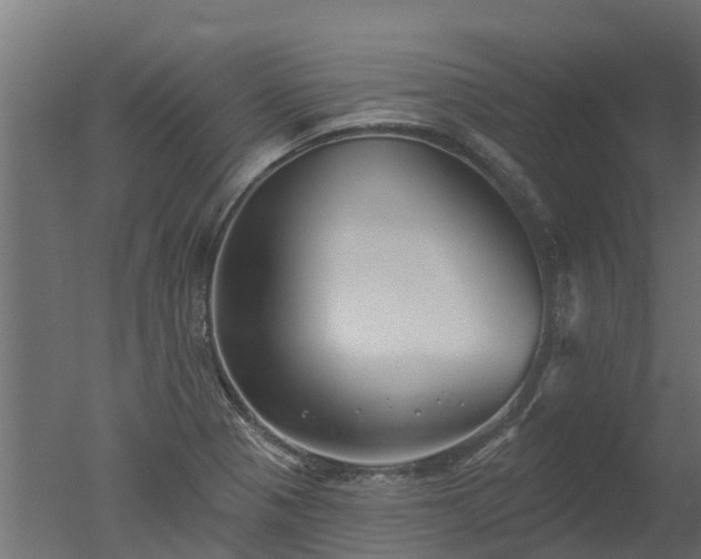 X0000050721321200506151903