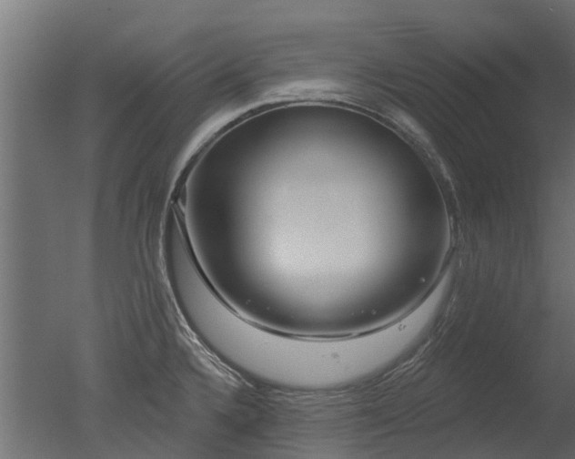 X0000050721336200506151904