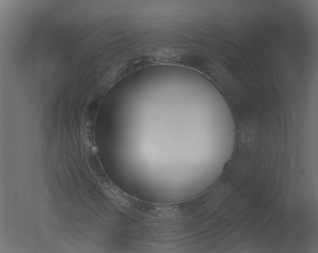 X0000050721346200506151903