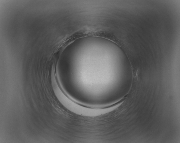X0000050721348200506151903
