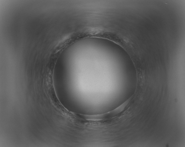 X0000050721349200506151903