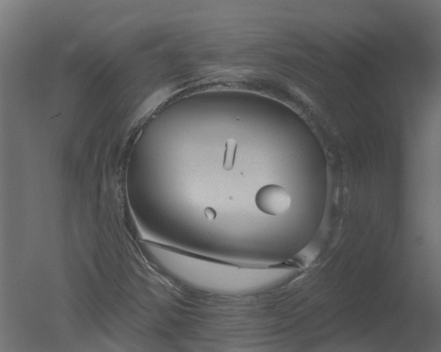 X0000050721354200506151903