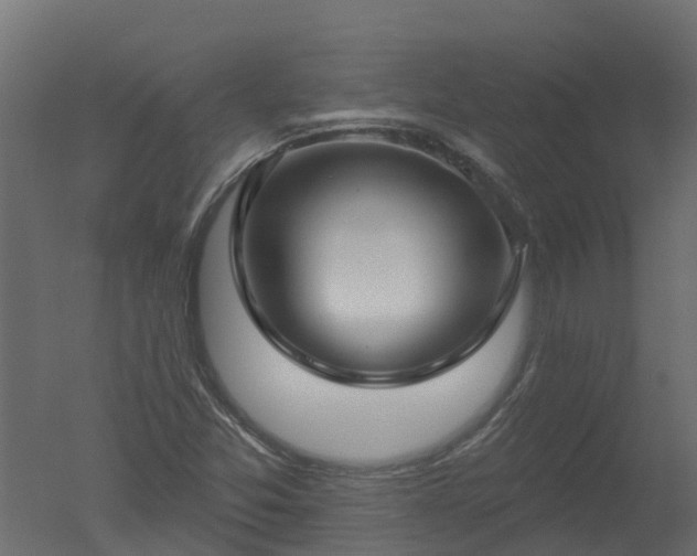 X0000050721357200506151903