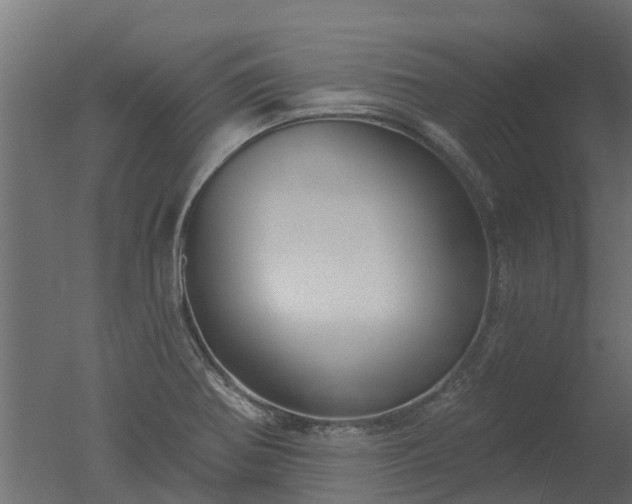 X0000050721370200506151902