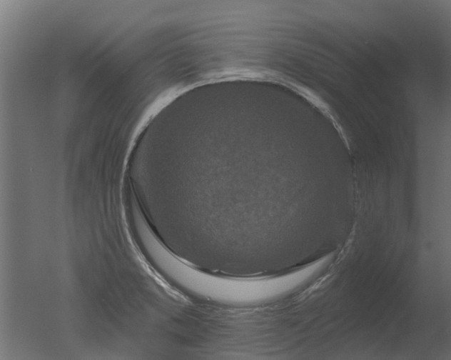 X0000050721373200506151902