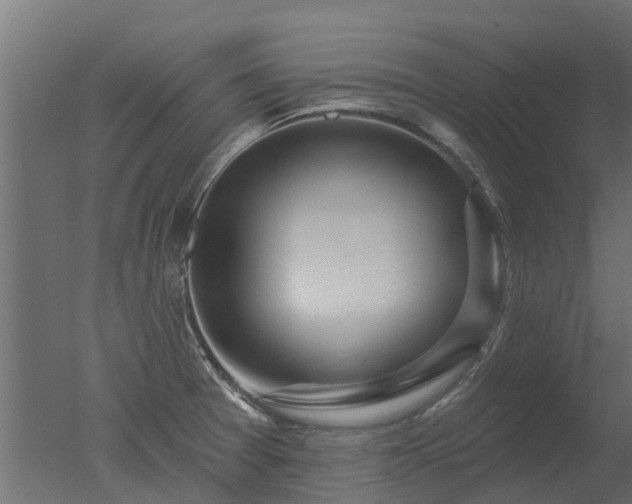 X0000050721377200506151902