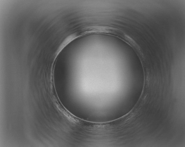 X0000050721378200506151902