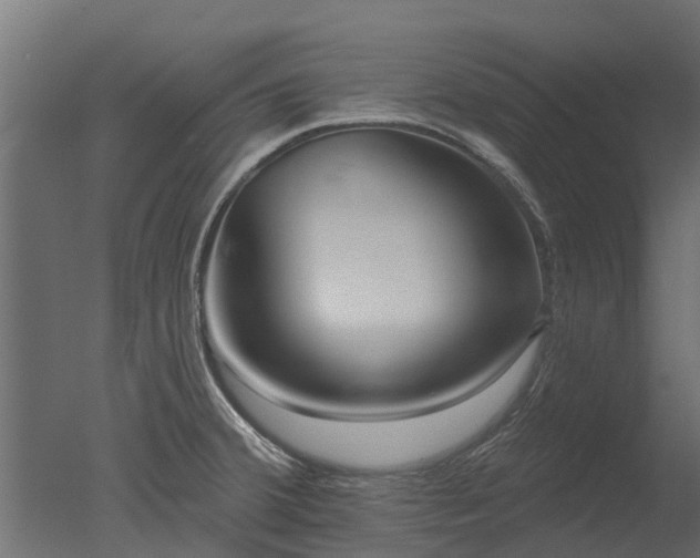 X0000050721380200506151902