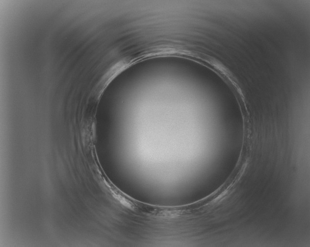 X0000050721385200506151902