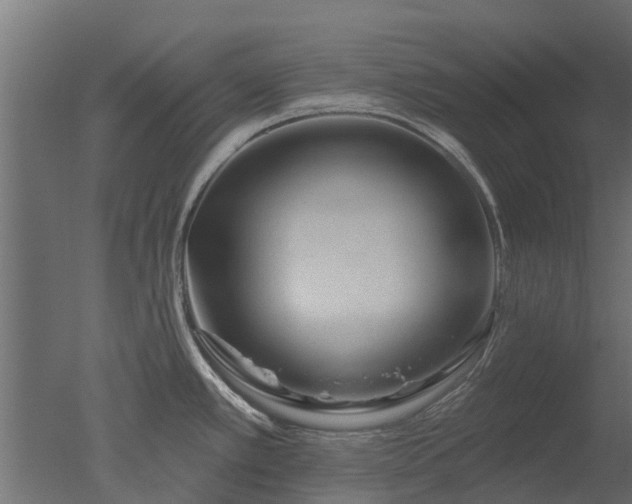 X0000050721389200506151902