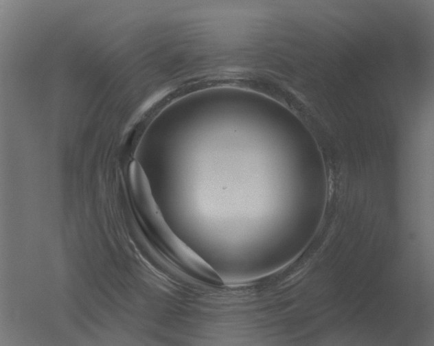 X0000050721402200506151901