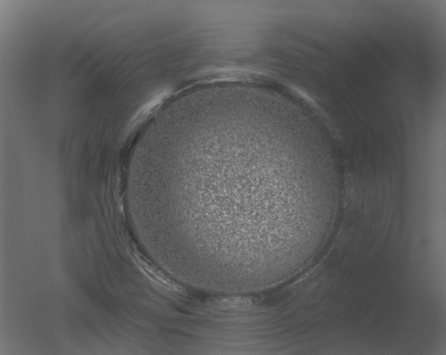 X0000050721403200506151901