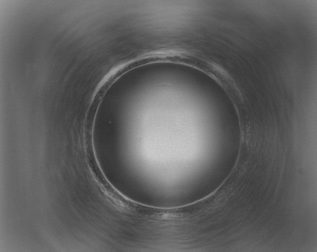 X0000050721412200506151902