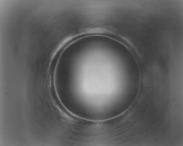X0000050721414200506151902