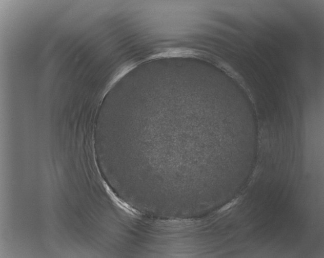 X0000050721425200506151902
