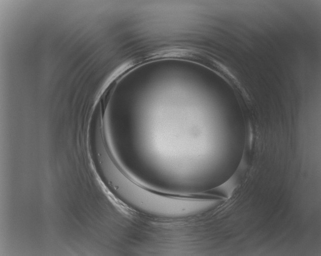 X0000050721426200506151902