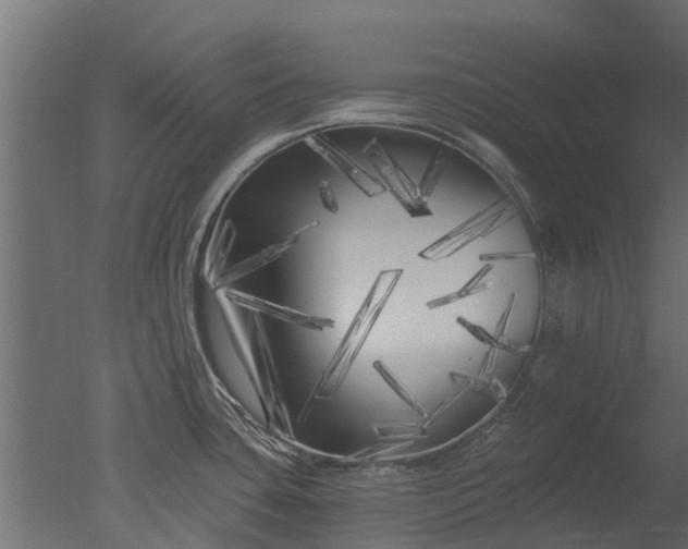 X0000050721435200506151902