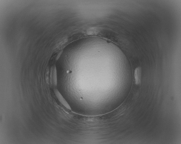 X0000050721443200506151901