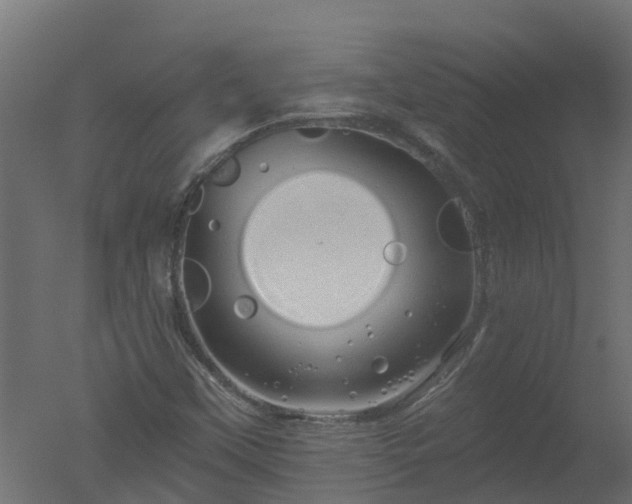 X0000050721451200506151901