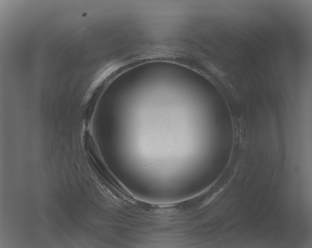 X0000050721453200506151901