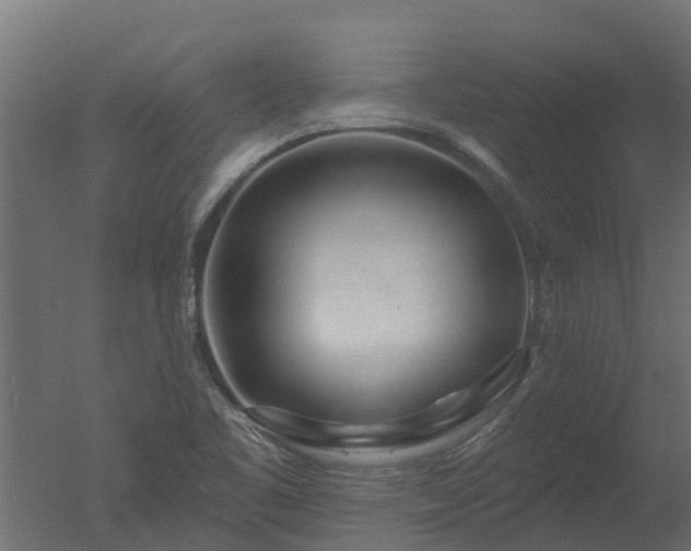 X0000050721461200506151901