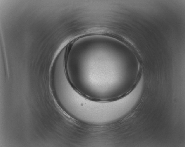 X0000050721467200506151901