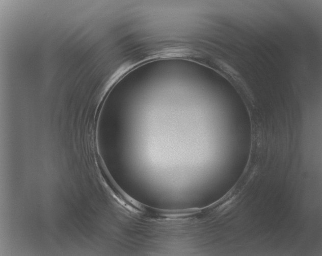 X0000050721473200506151901